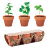 TERRACOTTA 3 HERB POT SET