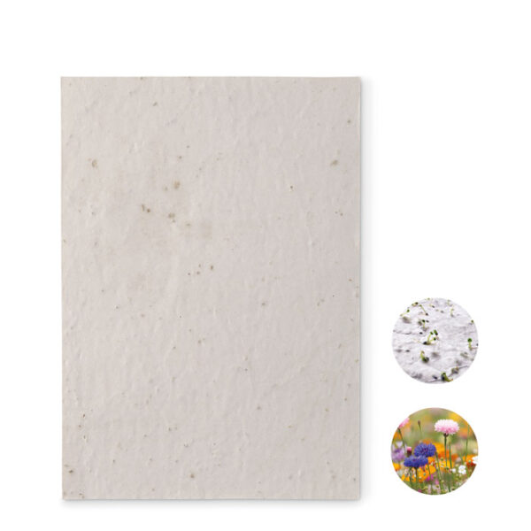 A5 WILDFLOWER SEED PAPER SHEET