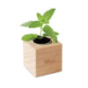 MINT HERB WOOD POT
